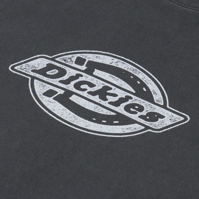 Dickies Plainville T Shirt Black-2