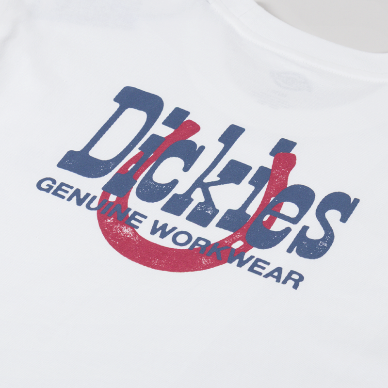 Dickies Vernal T Shirt White-4