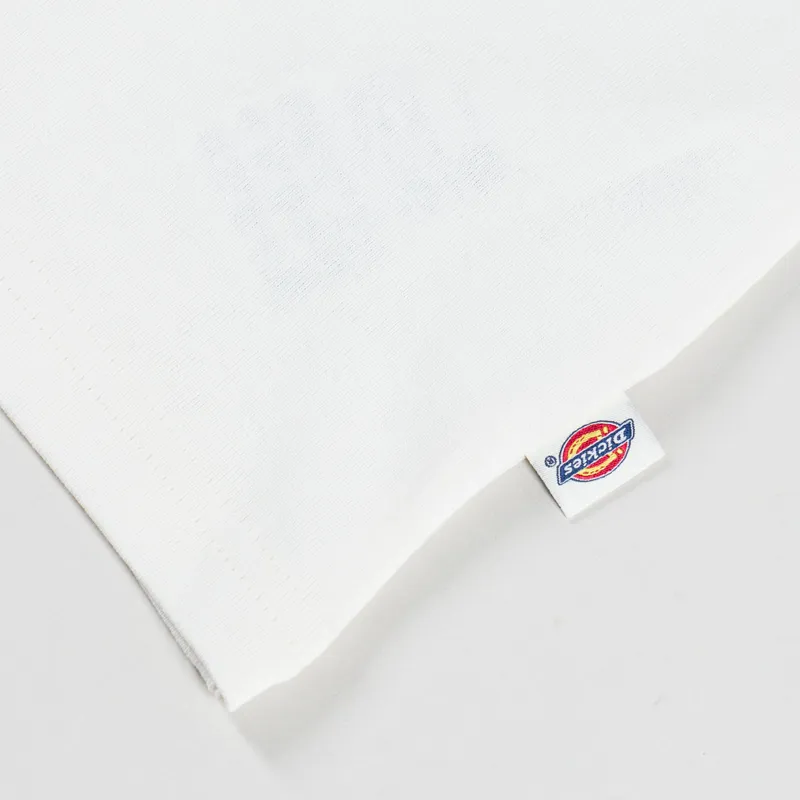 Dickies Irondale T Shirt Egret-5