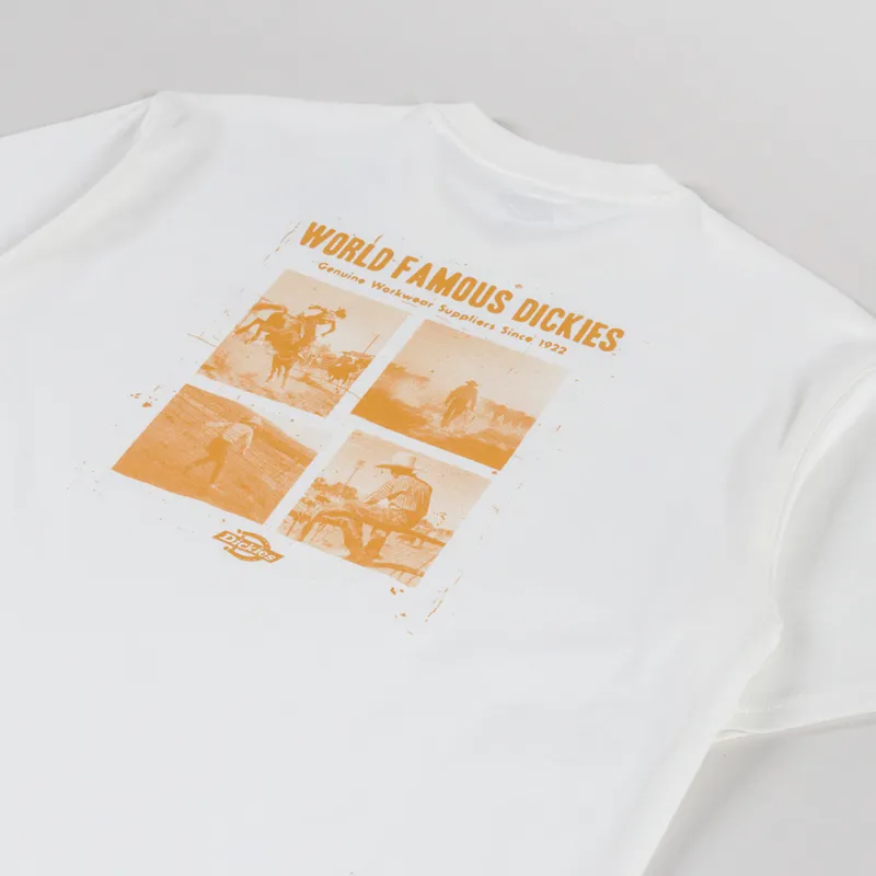 Dickies Wolfhurst T Shirt Egret-2