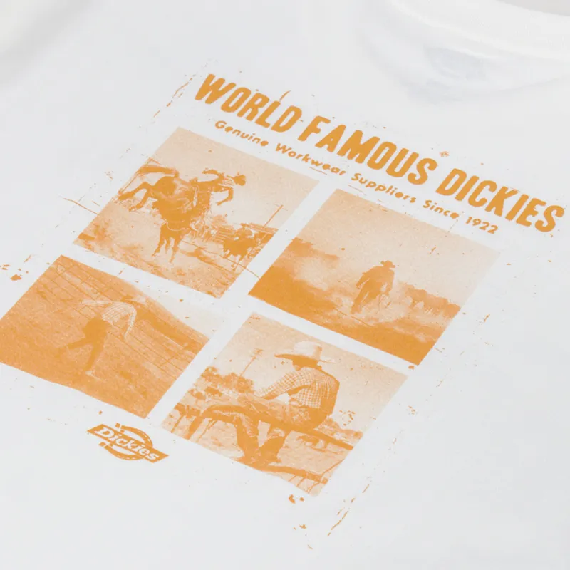 Dickies Wolfhurst T Shirt Egret-4