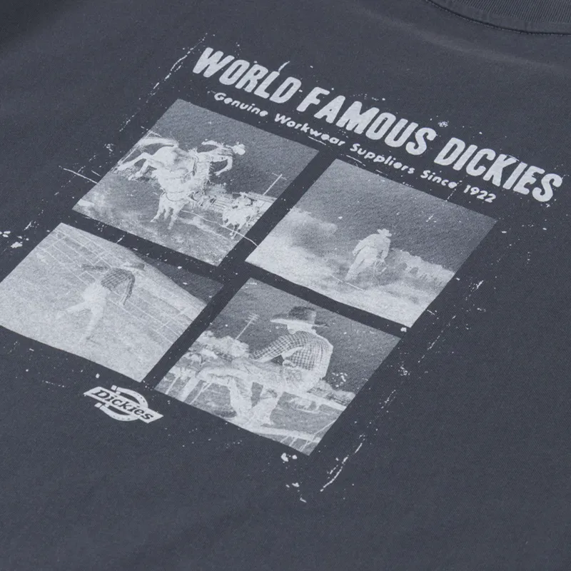 Dickies Wolfhurst T Shirt Charcoal Grey-4