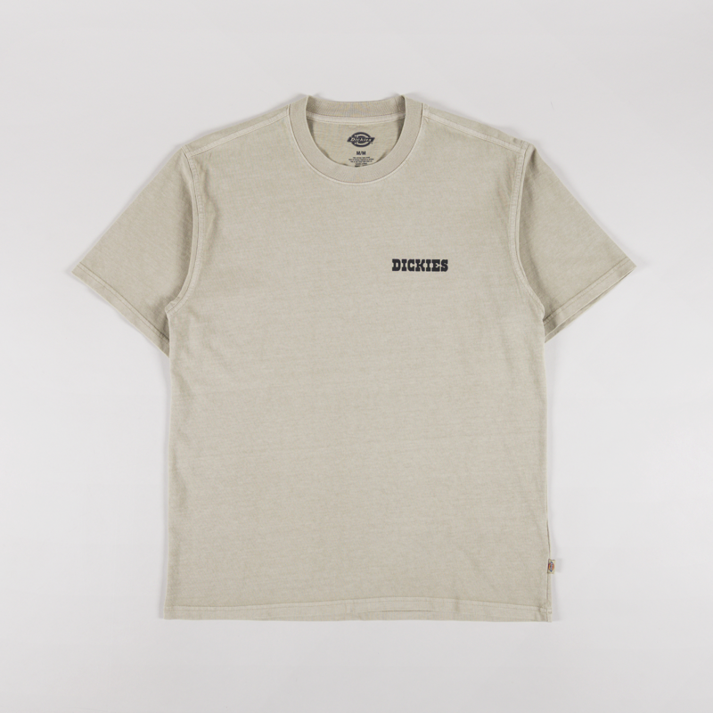 Dickies Darrtown T Shirt Eucalyptus-1