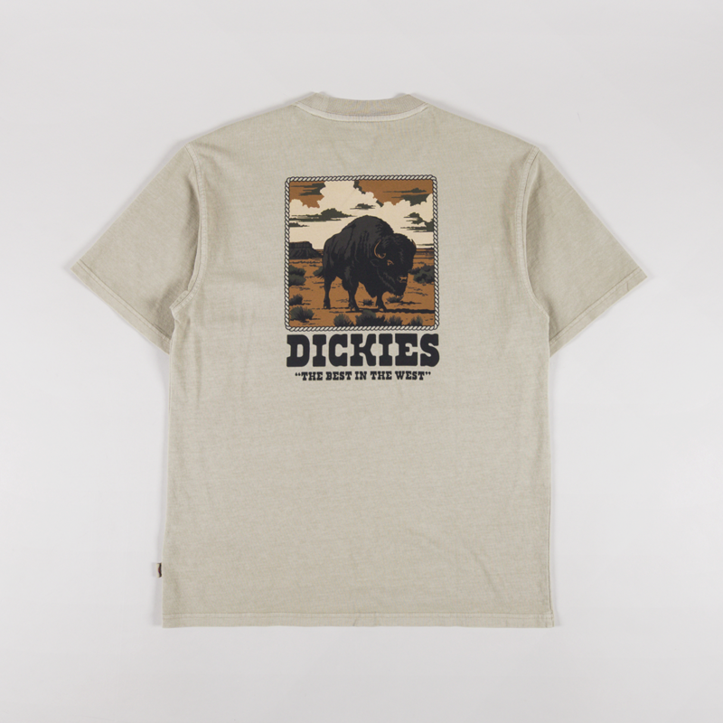 Dickies Darrtown T Shirt Eucalyptus