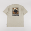 Dickies Darrtown T Shirt Eucalyptus