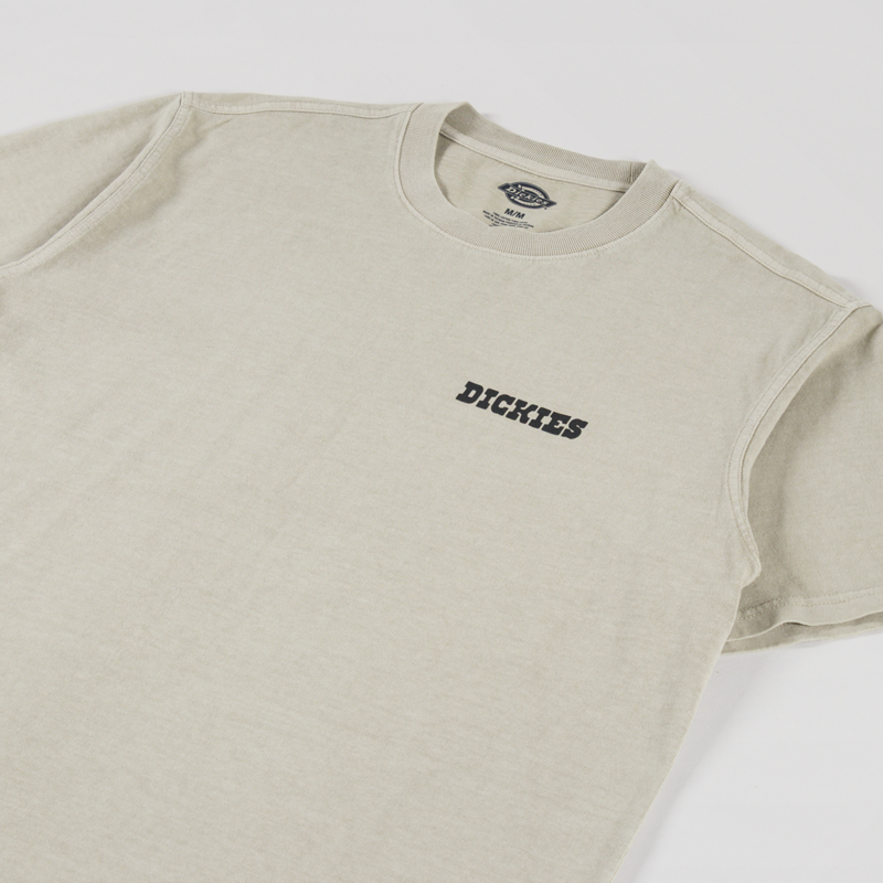 Dickies Darrtown T Shirt Eucalyptus-3