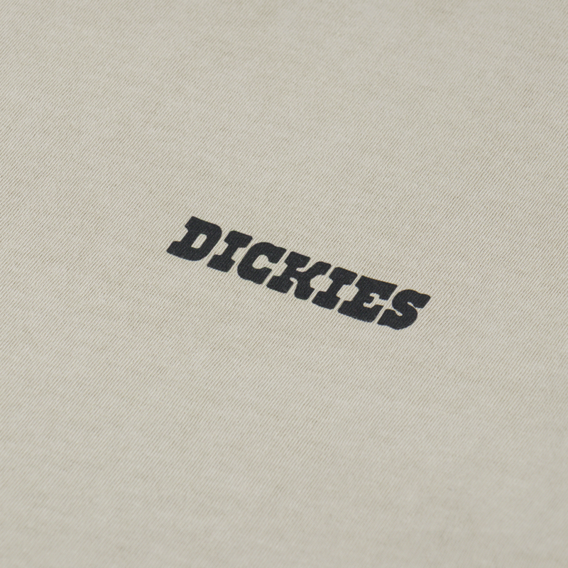 Dickies Darrtown T Shirt Eucalyptus-5