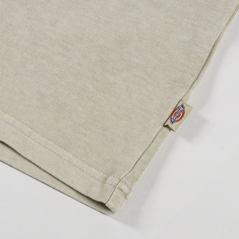 Dickies Darrtown T Shirt Eucalyptus-6