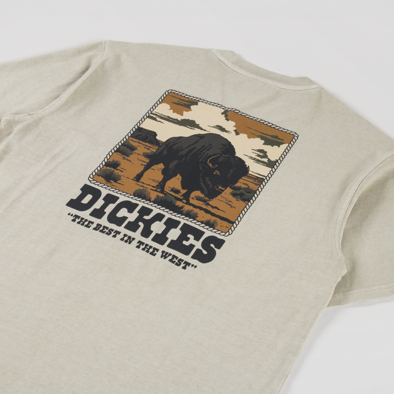 Dickies Darrtown T Shirt Eucalyptus-2