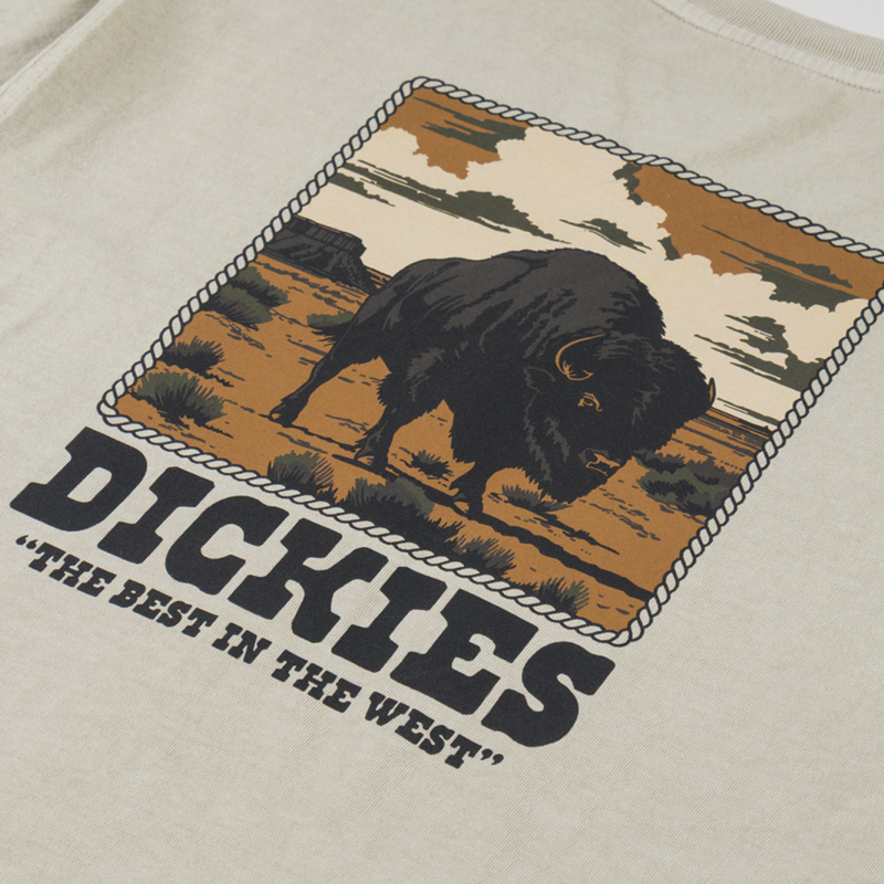 Dickies Darrtown T Shirt Eucalyptus-4