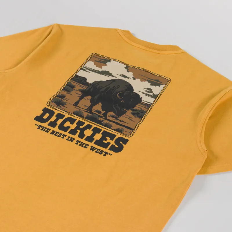 Dickies Darrtown T Shirt Sunflower-2