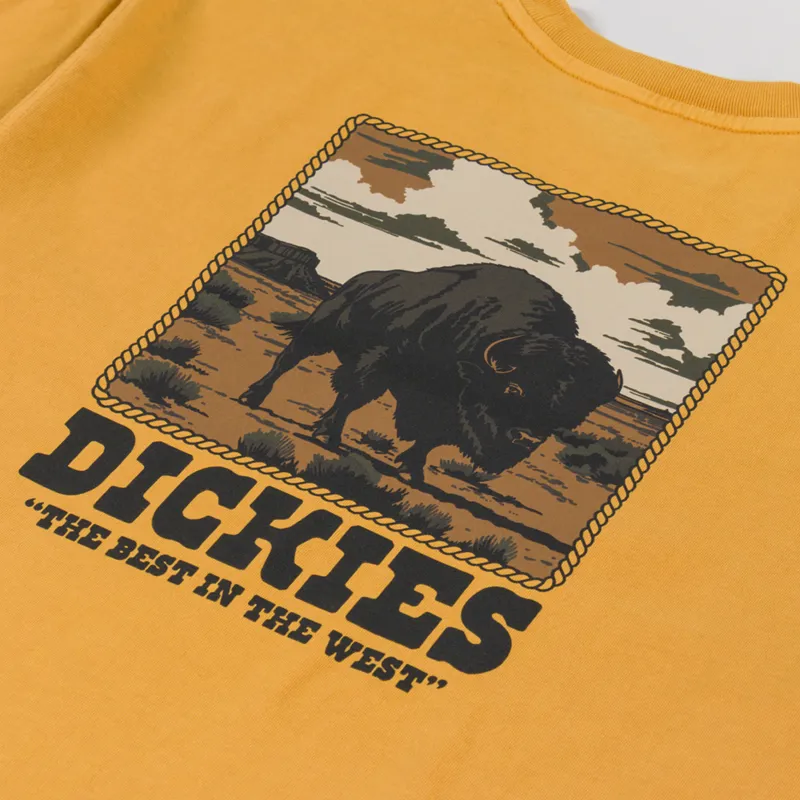 Dickies Darrtown T Shirt Sunflower-4