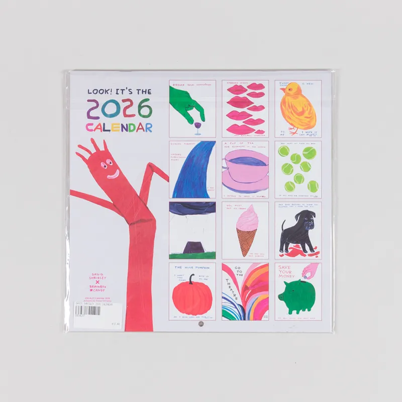 David Shrigley 2026 Calendar-1