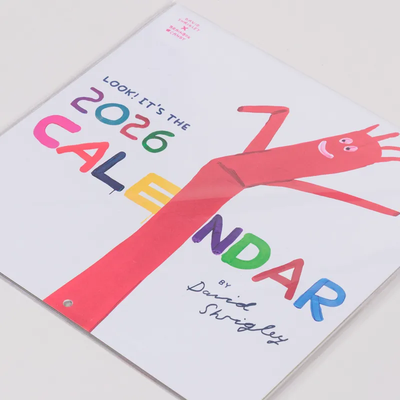 David Shrigley 2026 Calendar-2