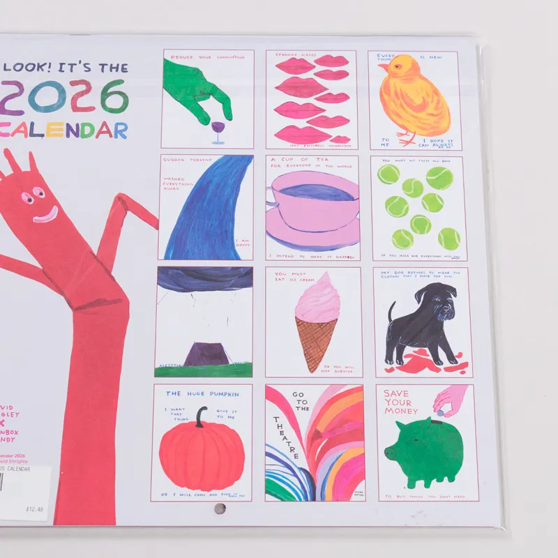 David Shrigley 2026 Calendar-4