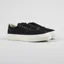Stepney Workers Club Dellow Shoes Canvas Black