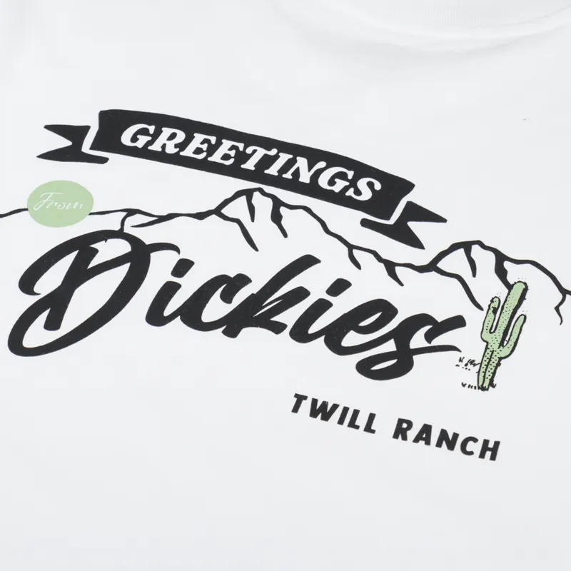 Dickies Dighton Long Sleeve T Shirt White-4