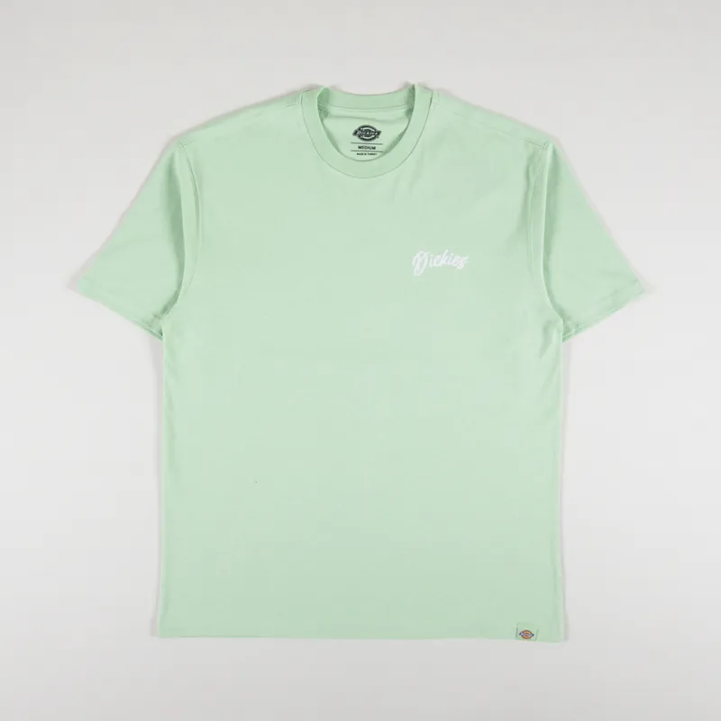Dickies Dighton T Shirt Quiet Green-1