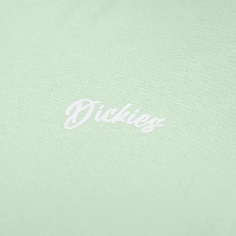 Dickies Dighton T Shirt Quiet Green-5