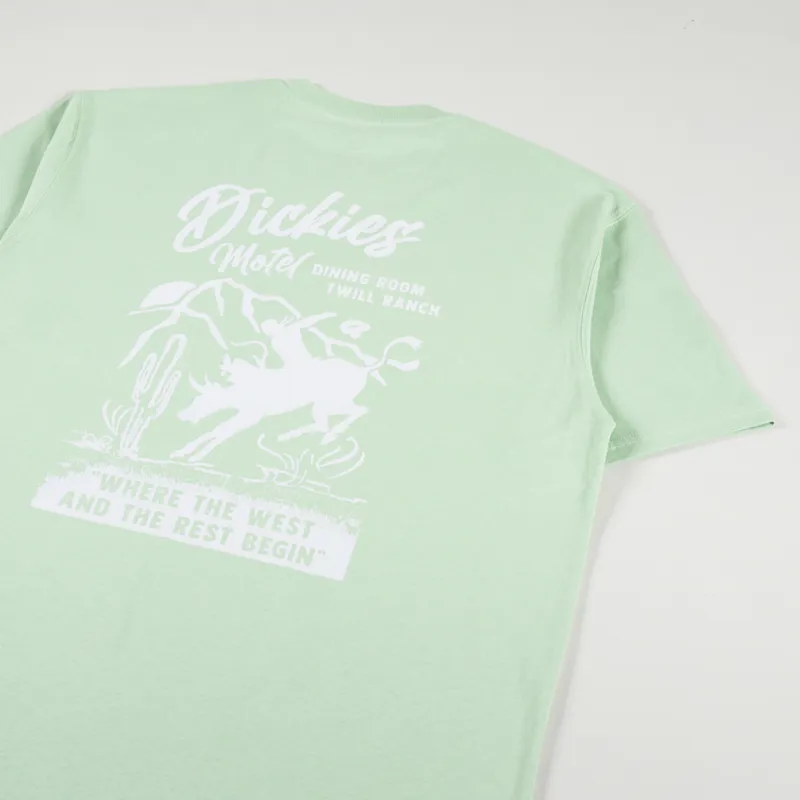 Dickies Dighton T Shirt Quiet Green-2