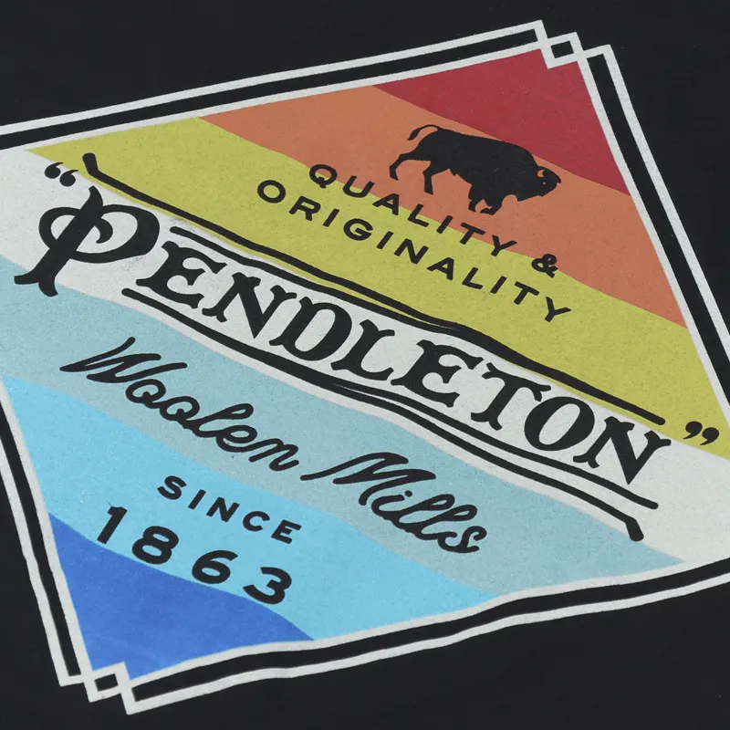Pendleton Diamond Stripes Graphic T Shirt Black-4