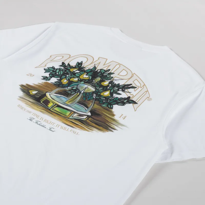 Pompeii Fountain T Shirt White-2