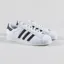 Adidas Skateboarding Superstar ADV Shoes White Black