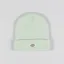 Dickies Gibsland Beanie Celadon Green
