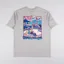 T And C Surf Gnar Gull T Shirt Faded Grey