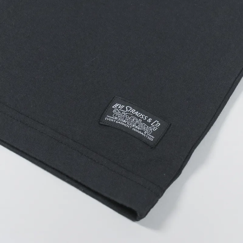 Levi's Skateboarding Graphic Boxy T Shirt Black-1