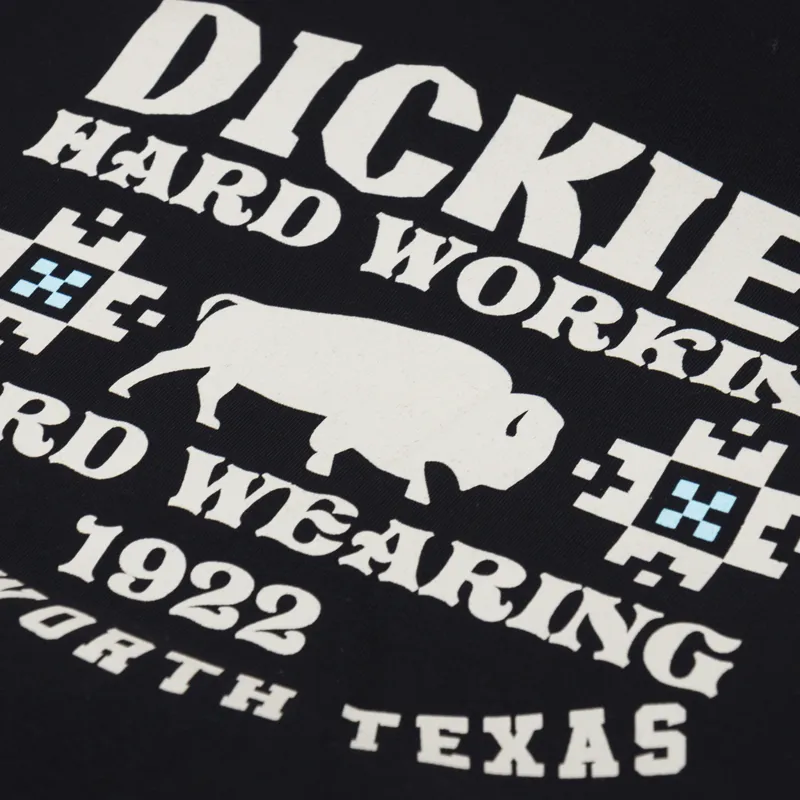 Dickies Hays Hoodie Black-3