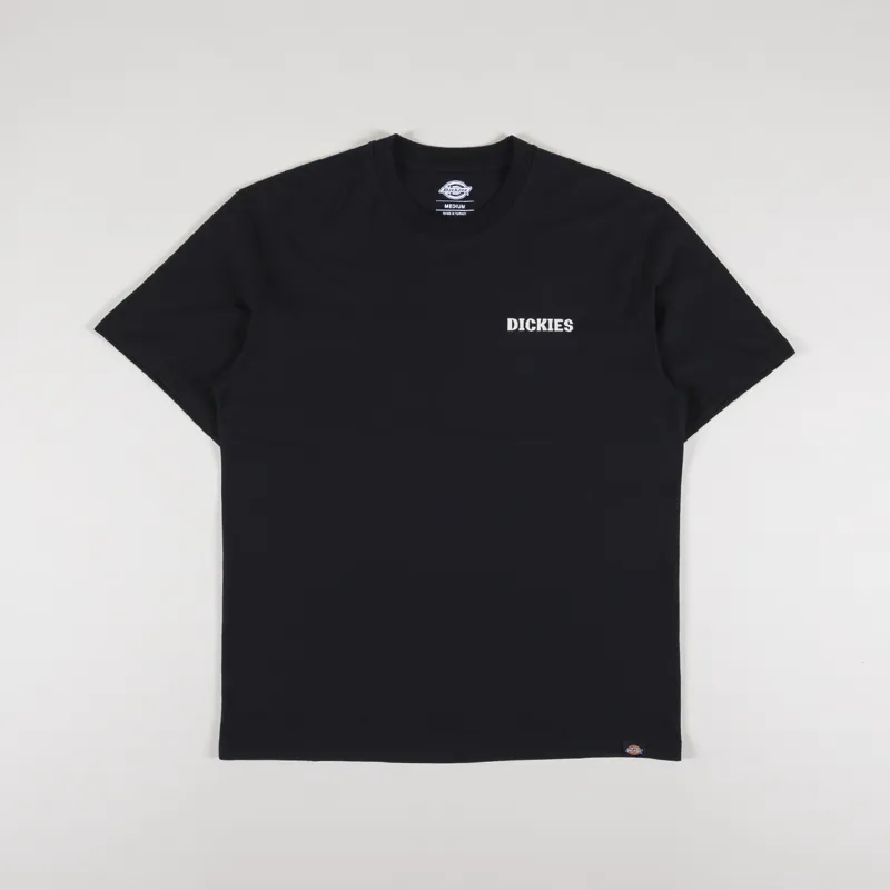 Dickies Hays T Shirt Black-1