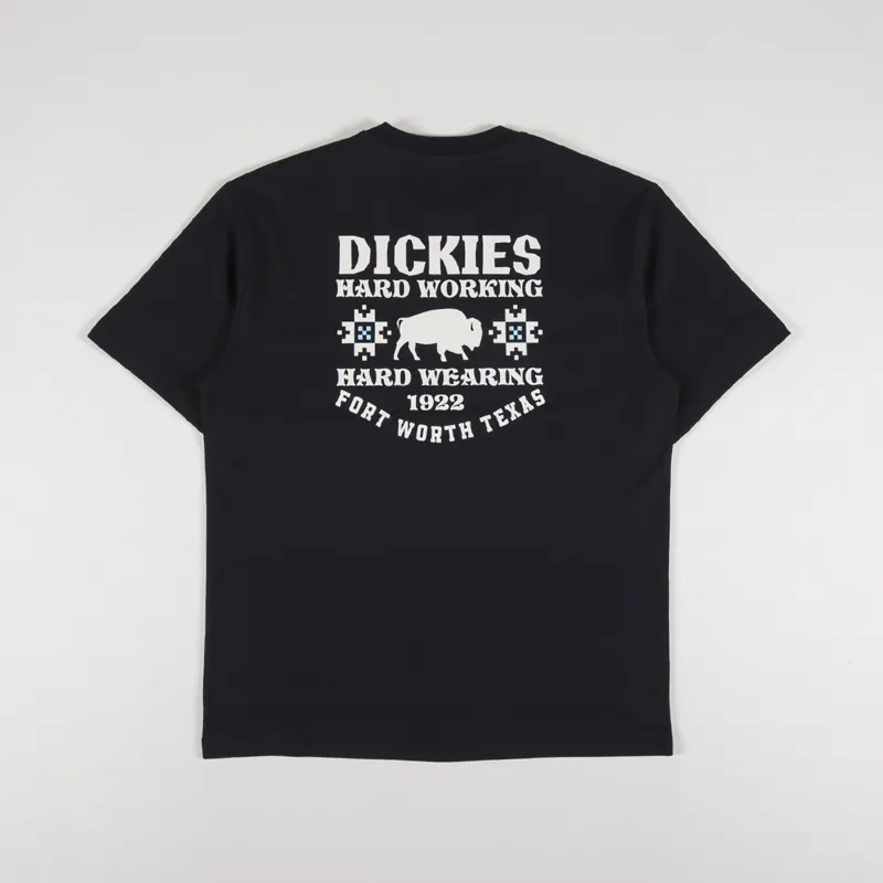 Dickies Hays T Shirt Black