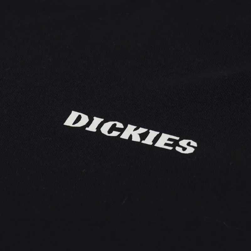Dickies Hays T Shirt Black-5