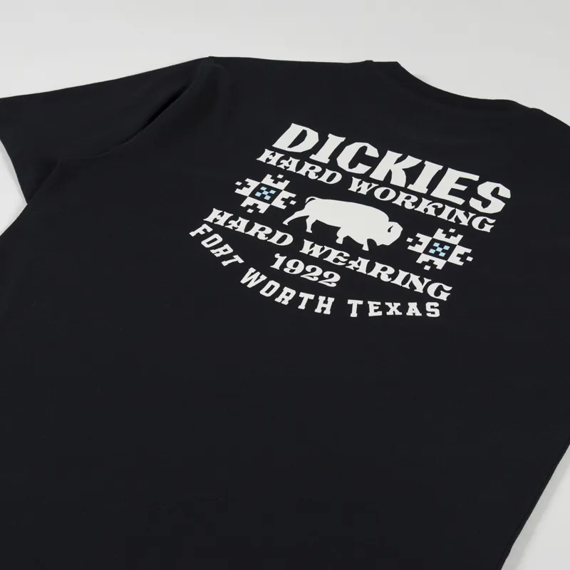Dickies Hays T Shirt Black-2