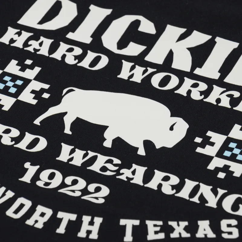 Dickies Hays T Shirt Black-3