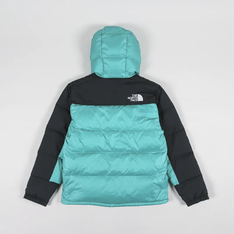 North face down sales jacket green