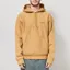 Carhartt WIP Hooded American Script Sweat WIP Dusty H