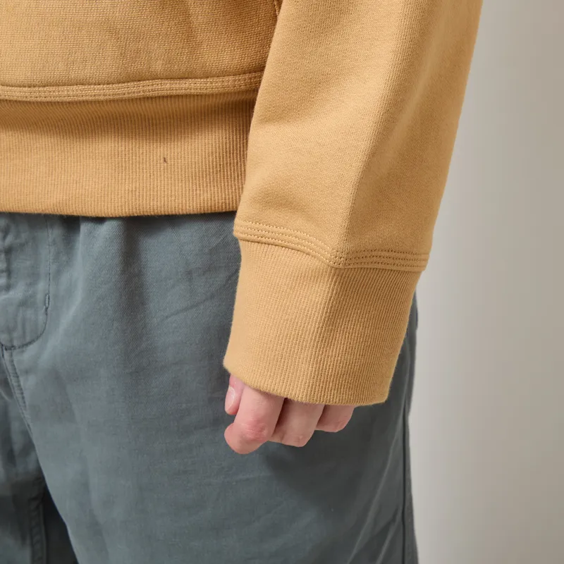 Carhartt WIP Hooded American Script Sweat WIP Dusty H-7