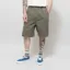Carhartt WIP Flint Short Leaf