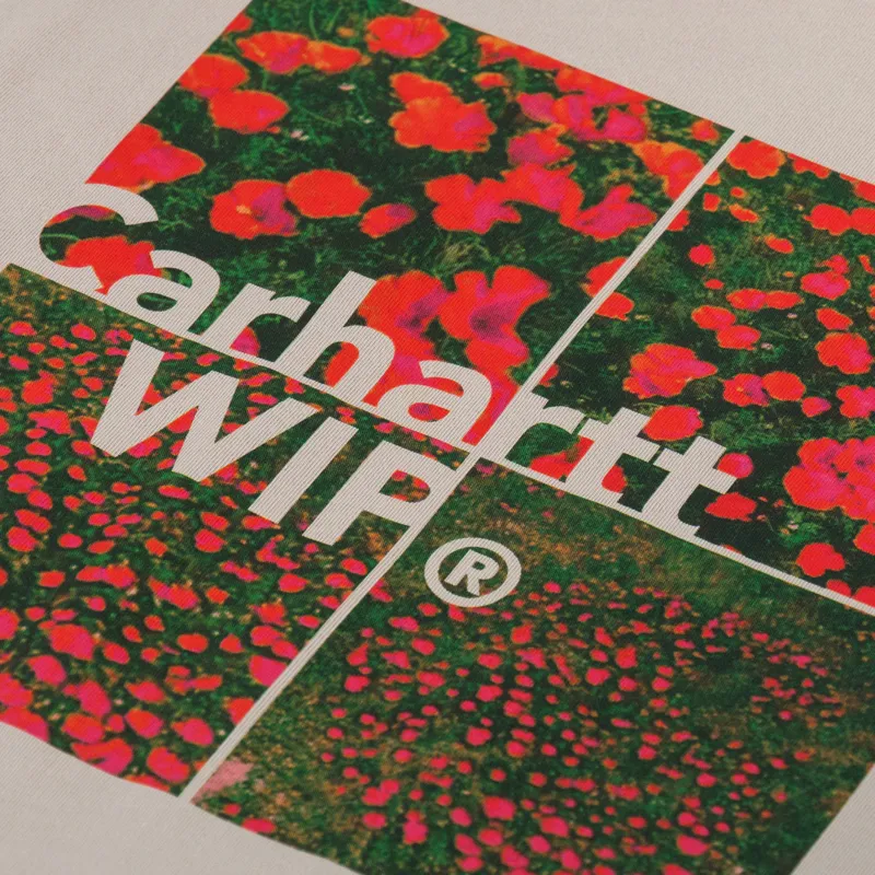 Carhartt WIP Valley T Shirt Wall-2