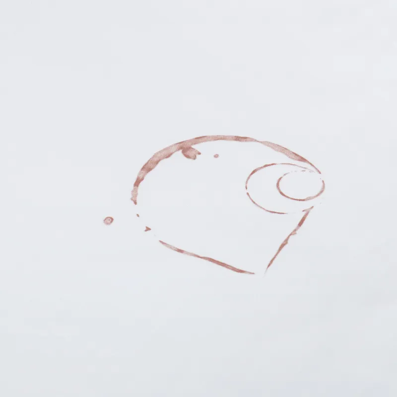 Carhartt WIP Java T Shirt White-2