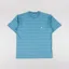Carhartt WIP Brodine T Shirt Saguaro