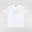 Carhartt WIP Terrestrial T Shirt White Pale Olive