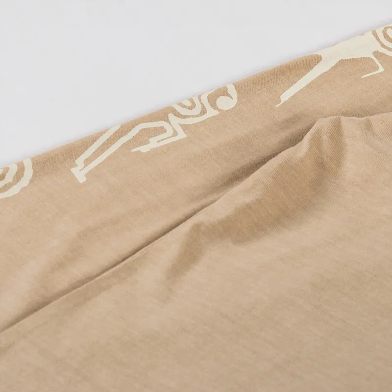 Carhartt WIP Long Sleeve Terrestrial T Shirt Dusty H Brown Natural-6