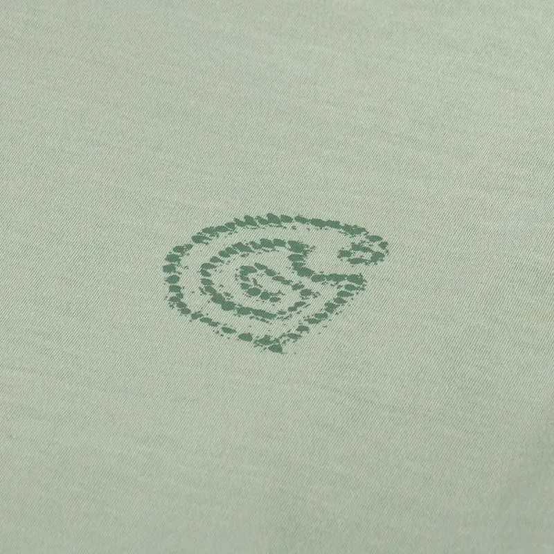 Carhartt WIP Long Sleeve Terrestrial T Shirt Pale Olive Dollar Green-5