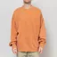 Carhartt WIP Benton Sweatshirt Redhaven