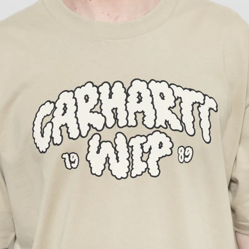 Carhartt WIP Cloud Script T Shirt Barchan-5