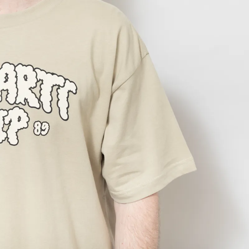 Carhartt WIP Cloud Script T Shirt Barchan-7