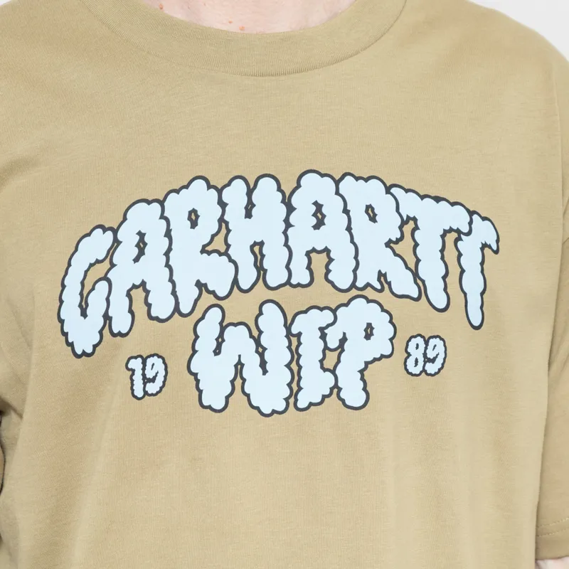 Carhartt WIP Cloud Script T Shirt Snakes-6